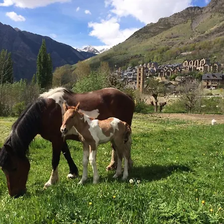 Rural Sant Climent