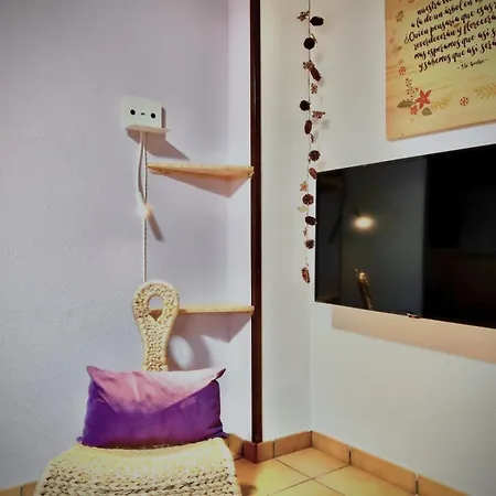 Guest house Rural Sant Climent Taull